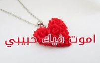 اموت فيك حبيبي