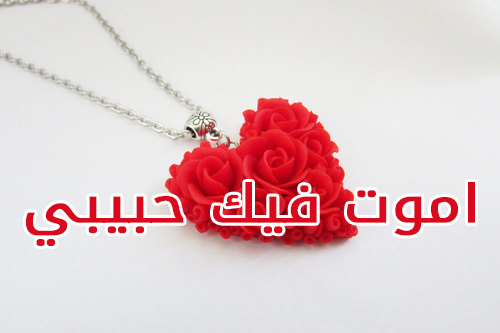 اموت فيك حبيبي