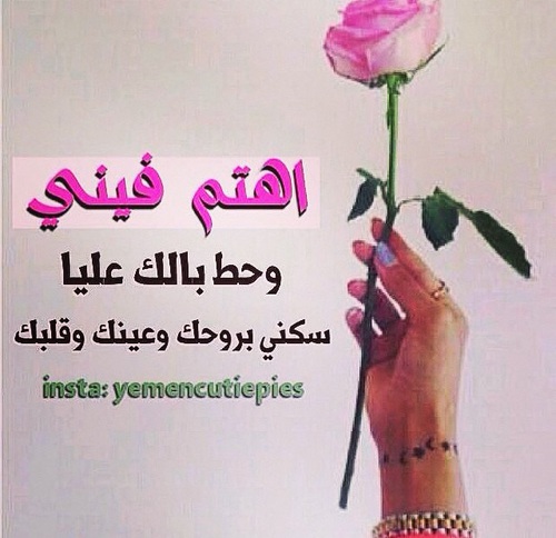 اهتم فيني 32