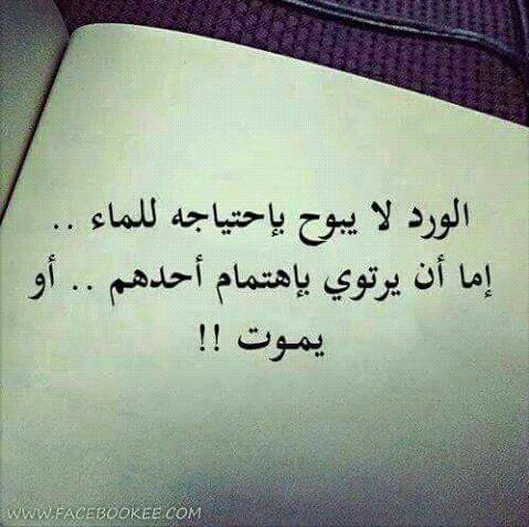 اهتمام بالحبيب مكتوبة 4
