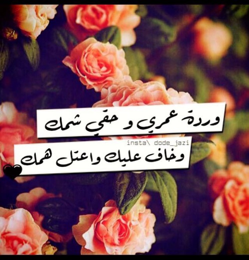 اهتمام مكتوبة 4