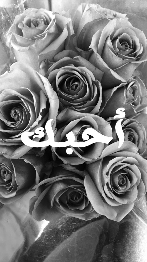تهاني 3