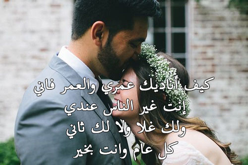 تهنئة عيد الحب 6