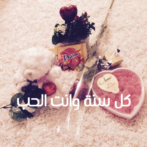 تهنئة عيد الحب دباديب 48