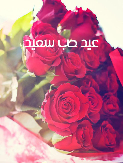 تهنئة عيد الحب ورد 50