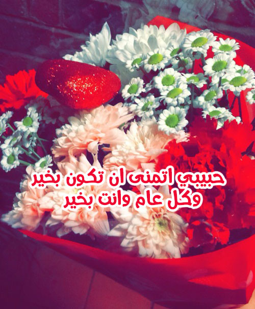 تهنئة وورود 5