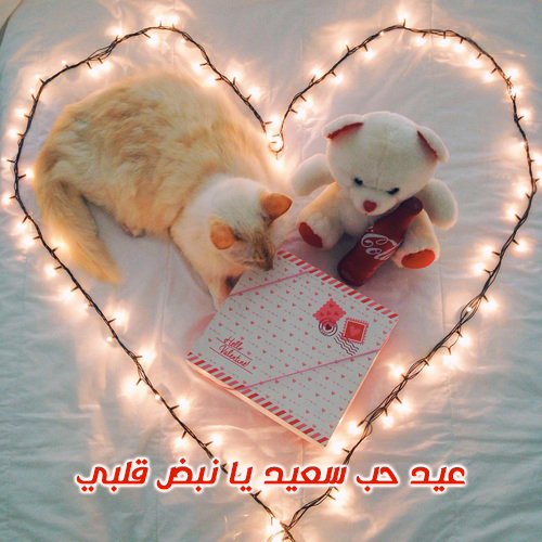 جديدة لعيد الحب 0 4