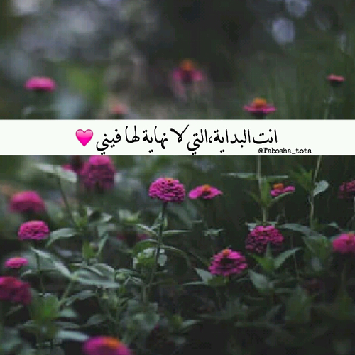 حب رومانسية 9خ7