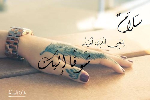 حب رومانسية للمسافر ع33