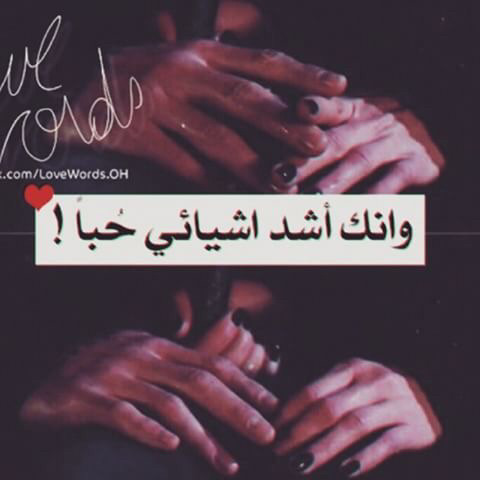 حب ساخنة ح40