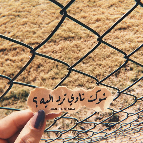 حب لزوجي