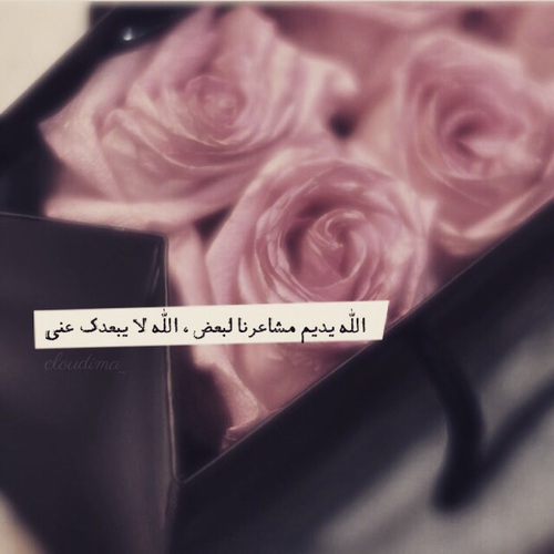 حب للزوجين 7ت4