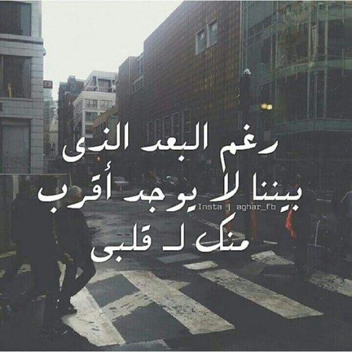 حب للغائب 9زث