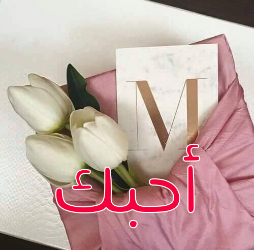 حرف الميم