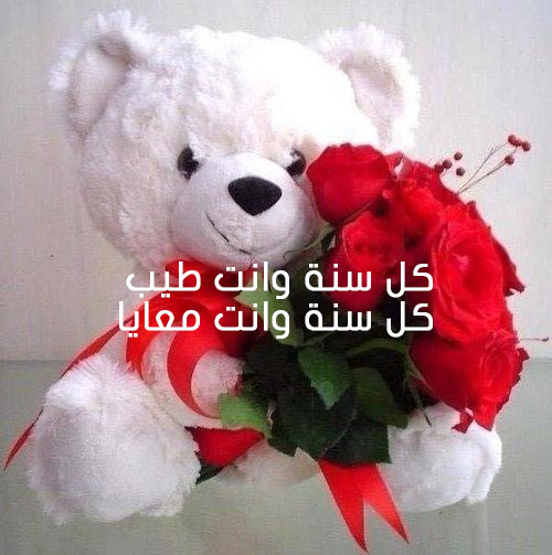 دب عيد الحب 47