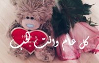 صور دباديب عيد الحب