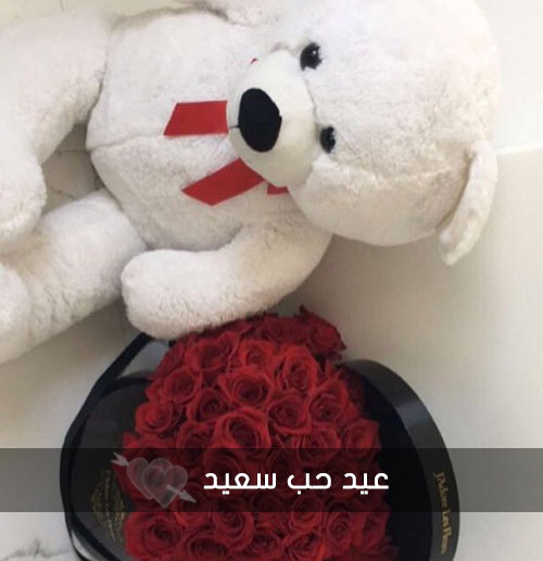 دبدوب عيد حب سعيد
