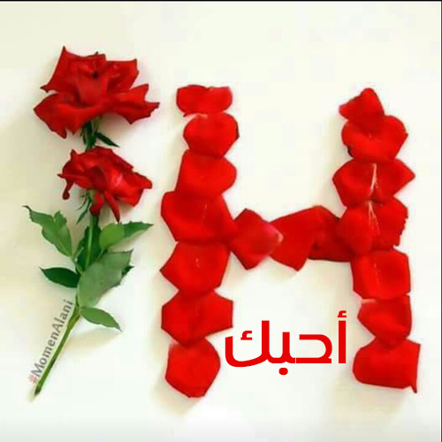 رومانسية حرف H