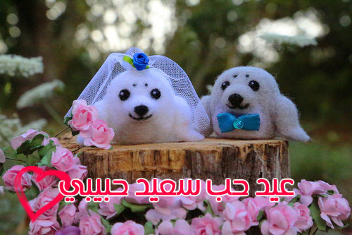رومانسية عيد الحب 33