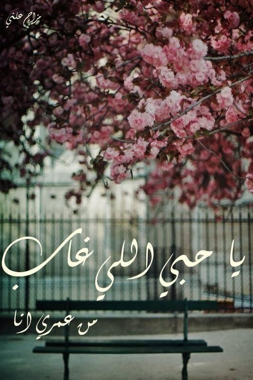 رومانسية وغياب 0ك1