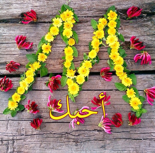 زهور حرف m