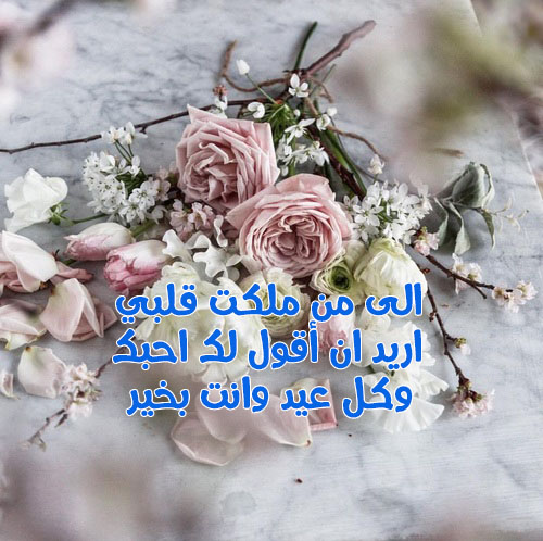 زهور عيد الحب 40