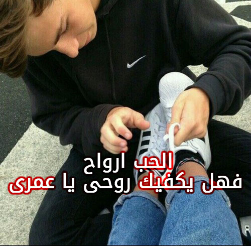 زوج عيد الحب 49