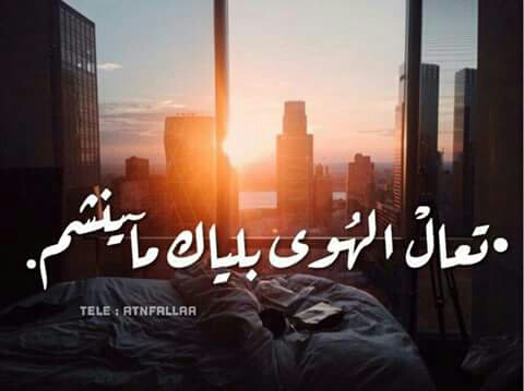 شوق 1