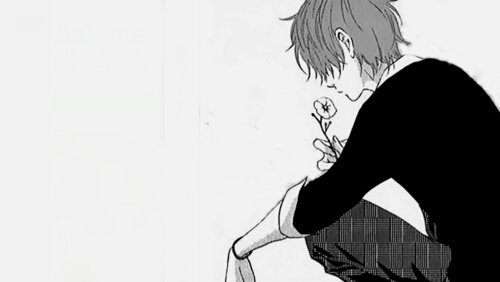 شوق انمي