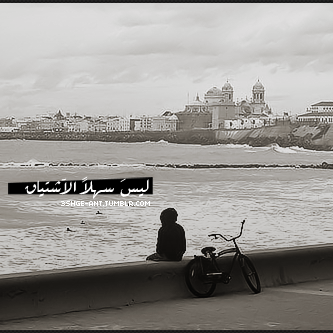 شوق لبارد المشاعر
