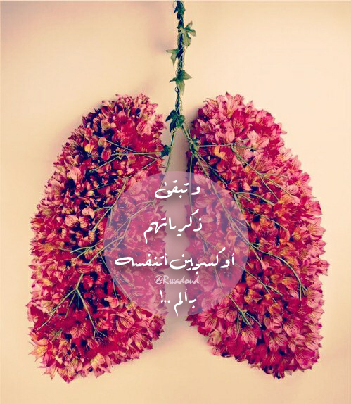 صباحية شوق