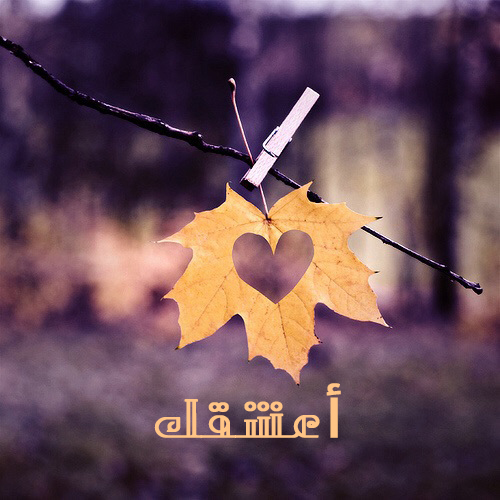 عشق