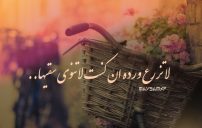 على الاهمال 43