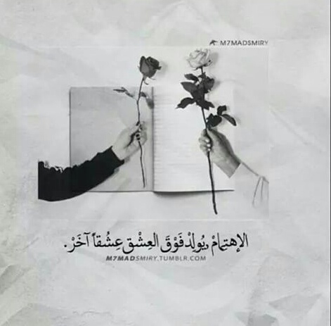 عن الاهتمام 500