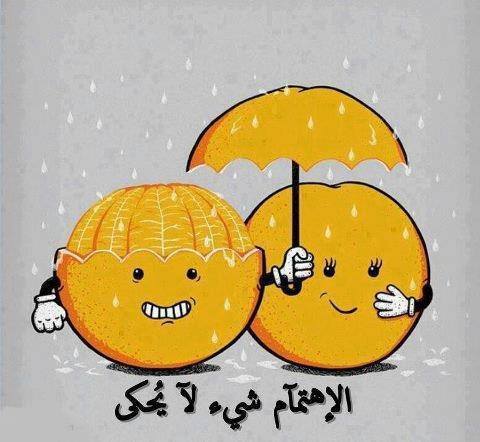 عن الاهتمام الجنسي 3
