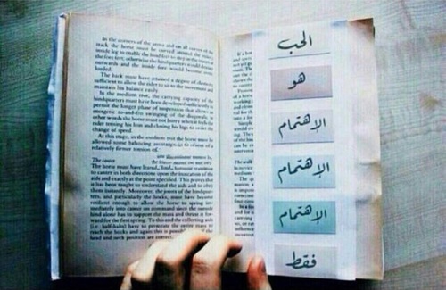 عن الاهتمام في الحب 403