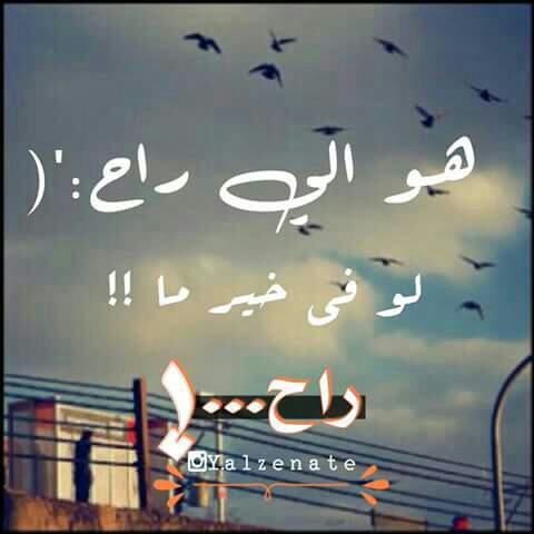 عن الرحيل
