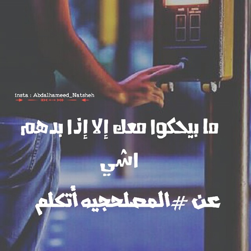 عن المصلحجية 4