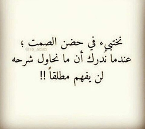 عن الندم كلام