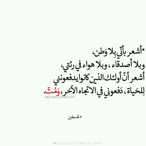 عن الوطن والاصدقاء