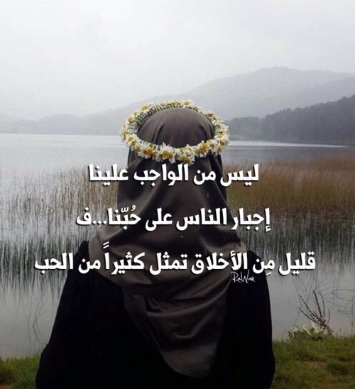 عن برود الحبيب 2