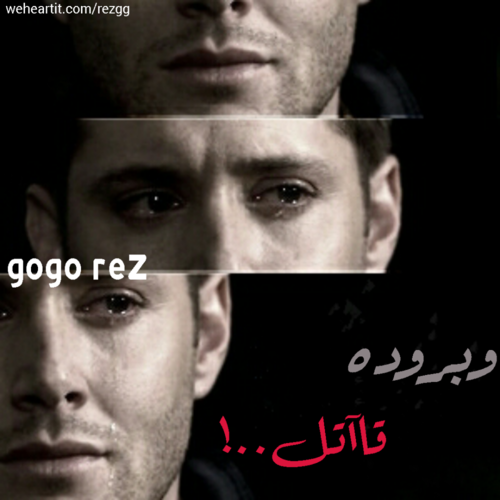 عن برود الحبيبة
