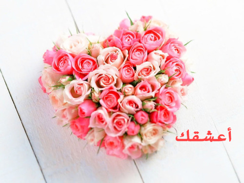 قلب كلمة اعشقك