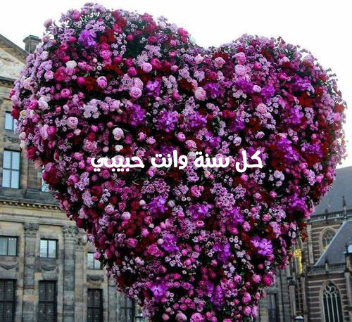 قلب من الورد 49