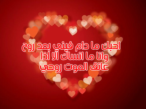قلوب عيد الحب مكتوب عليها 58