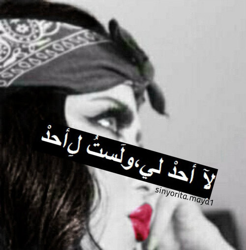 كرة الحبيب