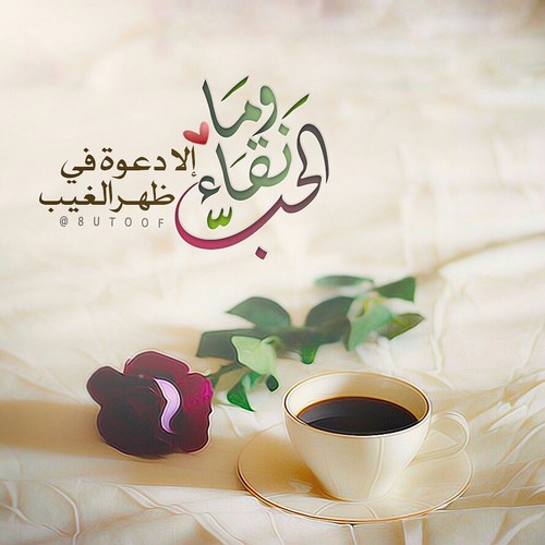 كلمات حب 7ء4