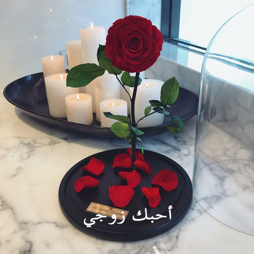 كلمة احبك زوجي رومانسية