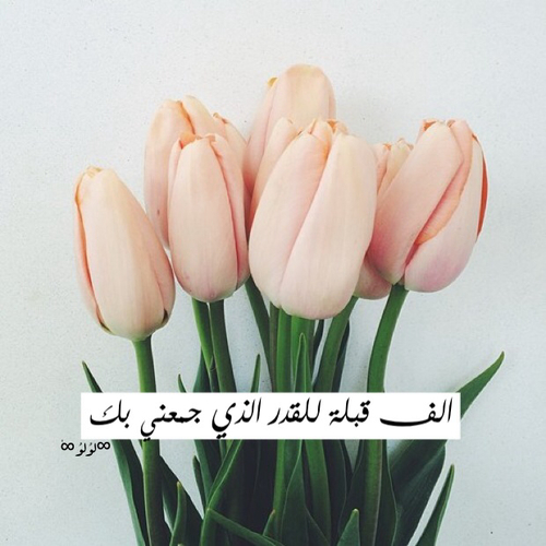 للحبيبة خ6ه
