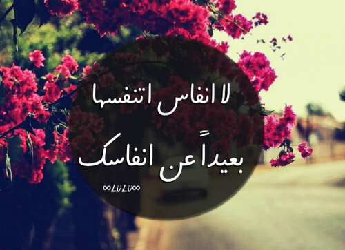 للحبيبة رومانسية جدا 995ن